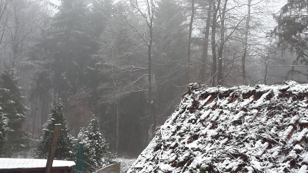 Hotel Der Heidkrug Verden an der Aller Esterno foto